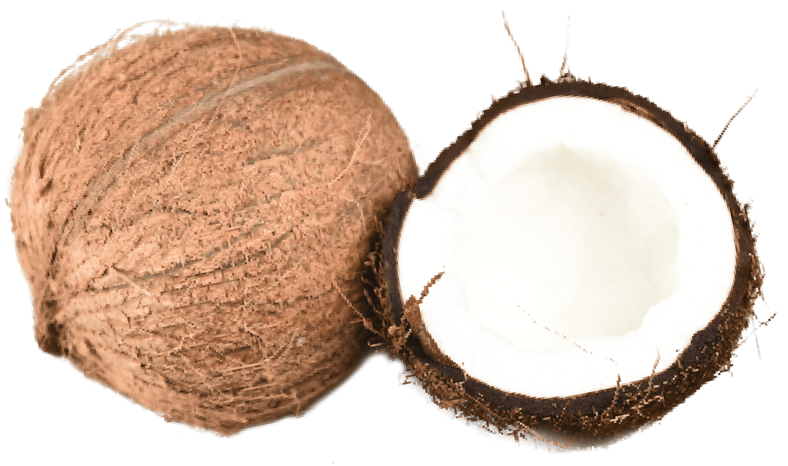coconut
